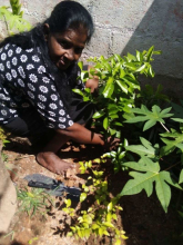 1_IMG_20231014_0952051