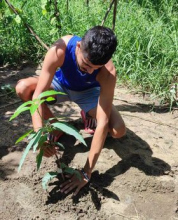 379969483_295003540083336_7805966248642089350_n1