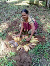 380275813_257735527259908_4837478700688732666_n1