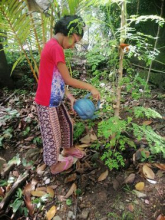 387335878_1387702051861768_3859642252861828867_n