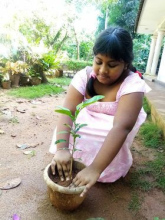 387455255_748182367115863_7428080644127237401_n