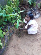 387472067_338814648627499_8622203445983436379_n1