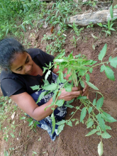 WhatsApp-Image-2023-10-14-at-09.49.02.jpg-A