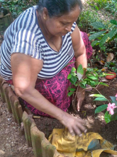 WhatsApp-Image-2023-10-14-at-09.49.02.jpgAAAA