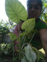 WhatsApp-Image-2023-10-14-at-09.50.45