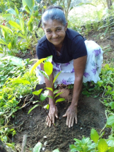 WhatsApp-Image-2023-10-14-at-7.16.45-AM