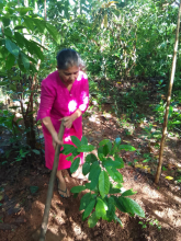 WhatsApp-Image-2023-10-14-at-7.44.27-AM