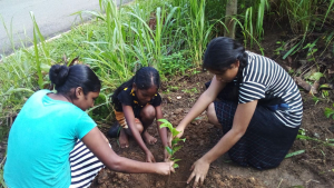 WhatsApp-Image-2023-10-14-at-7.48.17-AM