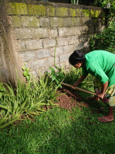 WhatsApp-Image-2023-10-14-at-8.17.33-AM