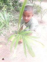 06fe4258-4f4d-4821-b894-0afb7e79e425