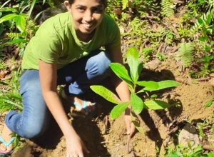 +94715495540 - 3.jpg