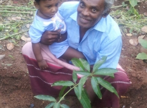 +94715730550 - 1.jpg