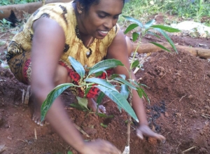 +94715730550 - 2.jpg