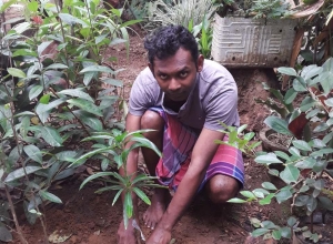 +94715763775 - 1.jpg