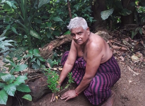 +94715763775 - 2.jpg