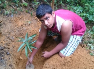 +94716537878 - 1.jpg