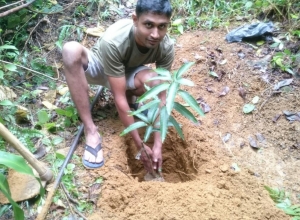 +94716537878 - 2.jpg