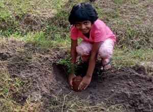 +94719005012 - 1.jpg