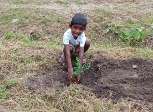 +94719005012 - 2.jpg