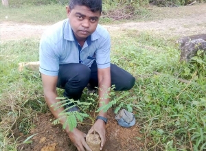 +94758232358 - 2.jpg