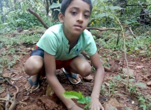 +94761431290 - 1.jpg