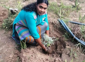 +94765654302 - 1.jpg