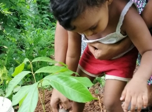 +94769935804 - 2.jpg