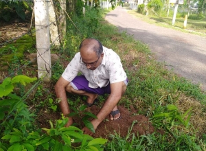 +94770485104 - 2.jpg