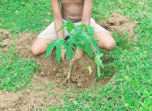 +94771105210 - 1.jpg