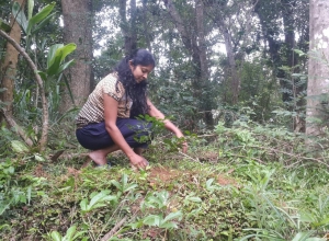 +94771159154 - 1.jpg