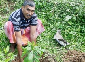 +94771652001 - 2.jpg