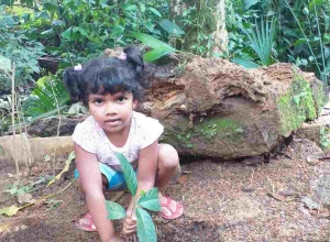 +94771775775 - 1.jpg