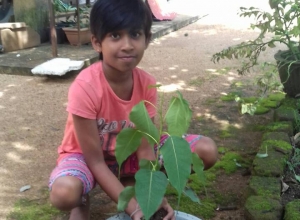 +94772424850 - 1.jpg