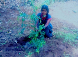 +94773280482 - 1.jpg