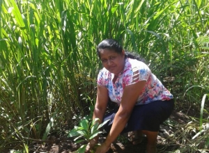 +94776543149 - 1.jpg