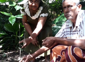 +94777622819 - 1.jpg