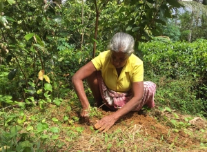 +94777904948 - 2.jpg