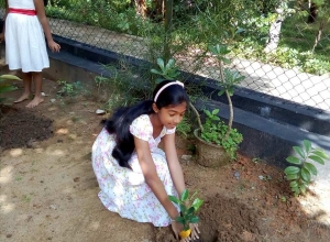 +94779318448 - 2.jpg