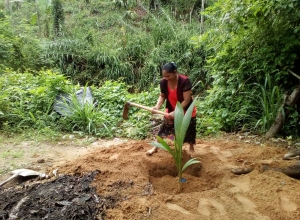 +94779765530 - 1.jpg