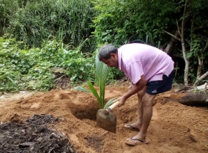 +94779765530 - 2.jpg