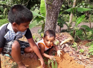 +94785359677 - 1.jpg