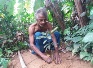 +94 70 265 4254.jpeg