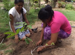 +94 70 307 9130.jpeg