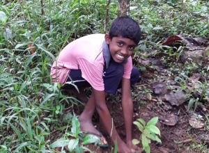 +94 70 313 6582.jpeg