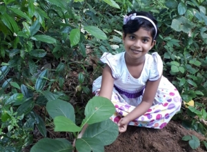 +94 70 408 2257.jpeg