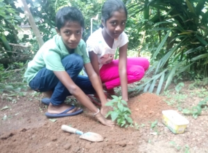 +94 70 560 9616.jpeg