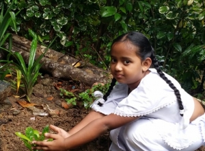 +94 70 563 5145.jpeg