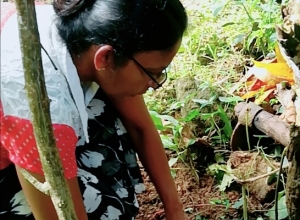 +94 71 061 2426.jpeg