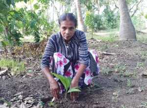 +94 71 141 2532.jpeg