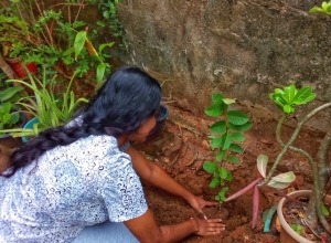 +94 71 183 3713.jpeg